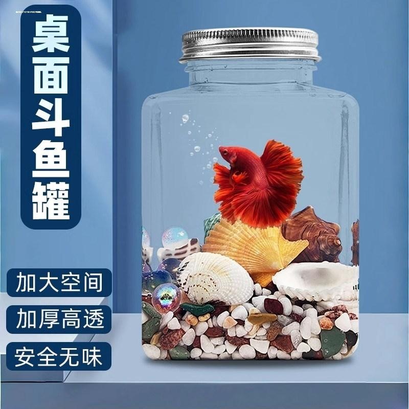 新手泰国斗鱼小型迷你桌面塑料罐