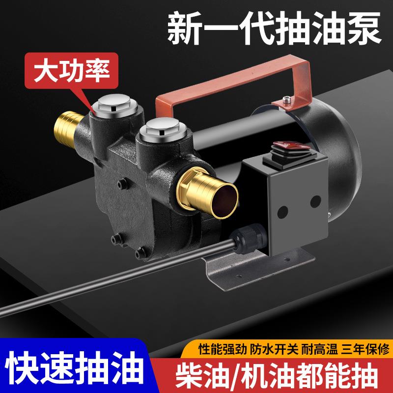电动抽油泵柴油12v24v220v自吸泵液压油抽油机机油泵齿轮泵