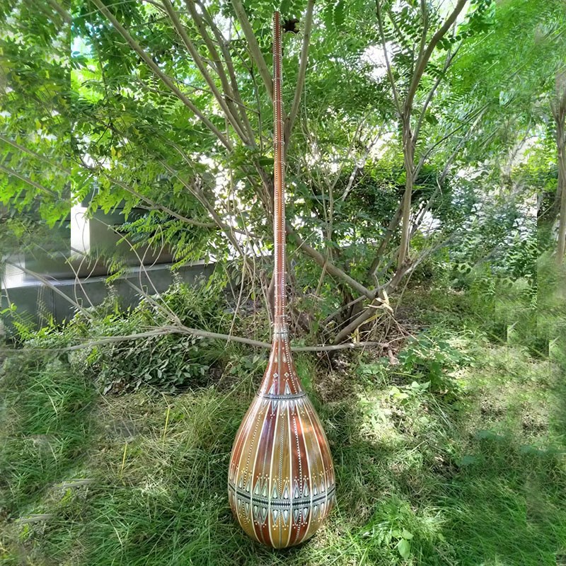 新疆传统民族乐器维吾尔族弹拨乐器都塔尔标准演奏琴学生琴练习琴