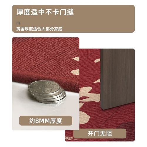 乔迁搬家喜庆红色玄关地垫耐脏防滑大门口玄关地毯垫进门入户地垫