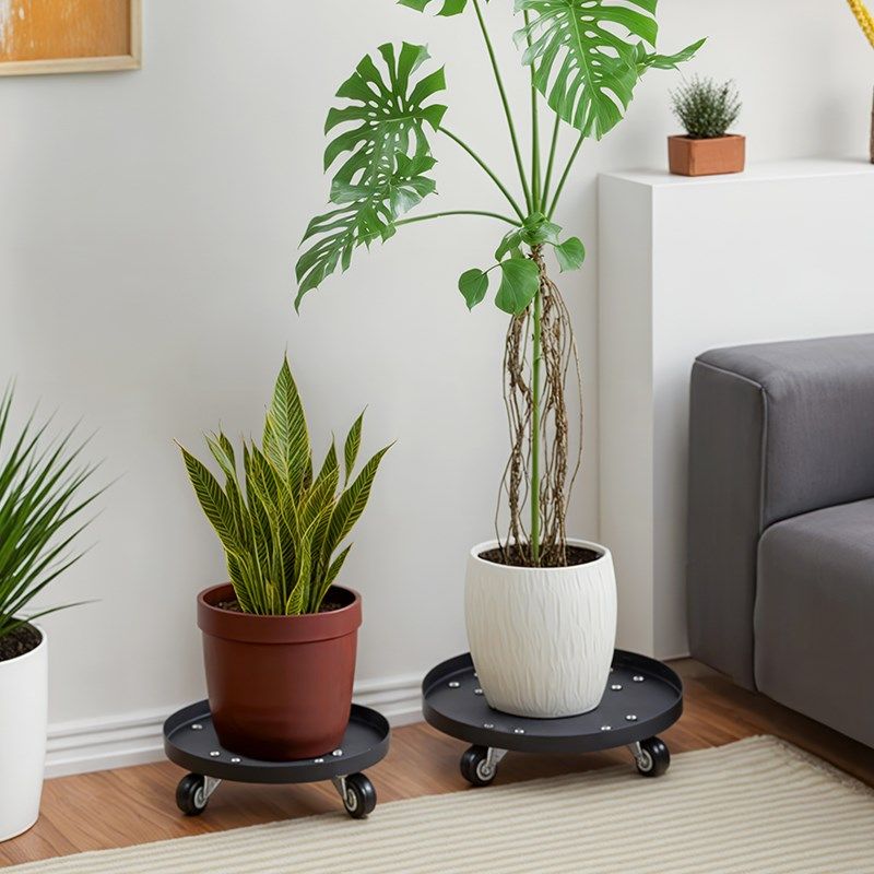 花盆托盘带轮承重大花盆绿植底座室内可移动花架铁艺万向轮盆栽架,住宅家具,花架/花几,淘宝优惠券,粉丝福利购,淘宝优惠卷