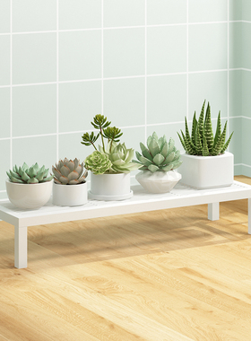 2024新款铁艺花架子客厅一层多肉小盆栽托架白色阳台置物架落地式