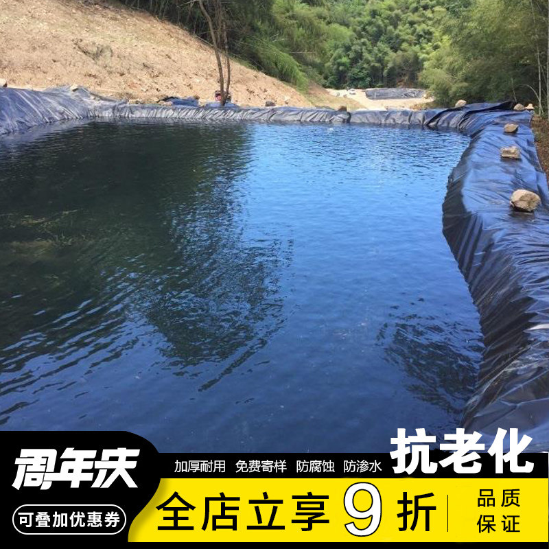 鱼塘防渗膜蓄水池专用抗老化防水布加厚护坡N土工膜养殖池塘防漏