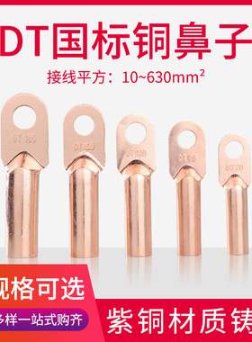 国标A级DT10/16/25/35/50/70/95/150/185/240平方铜鼻子接线端子