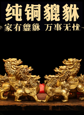 貔貅摆件一对客厅店铺家居用办公桌招财纯铜貔恘皮丘貔犰开业礼品