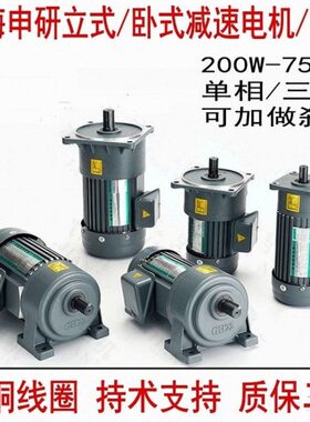 立式小型减速电机750W卧式齿轮减速电机马达220V380V400W2200W7.5