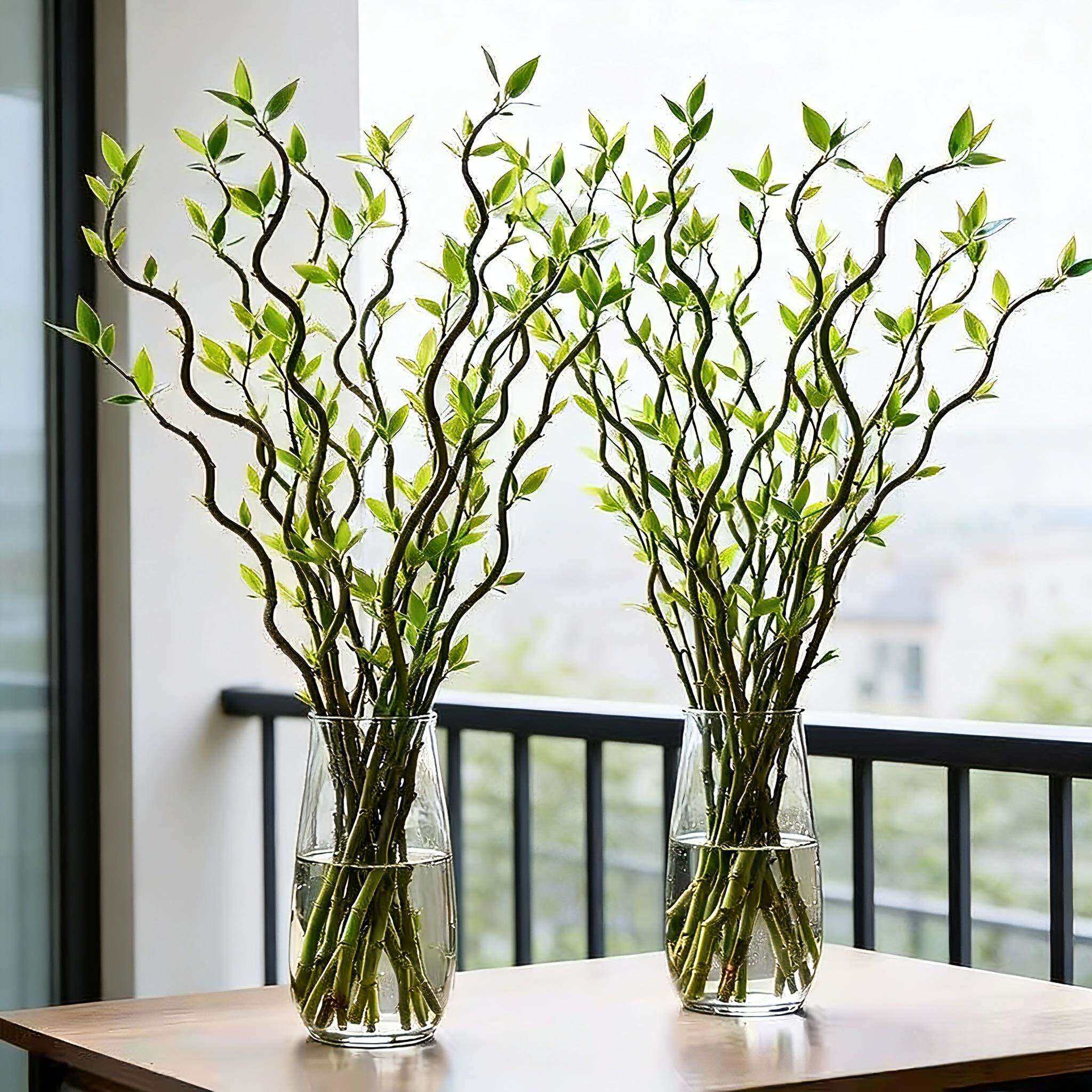 龙柳鲜枝水培植物客厅旺宅绿植雪柳带花苞花卉室内盆栽好养活国风