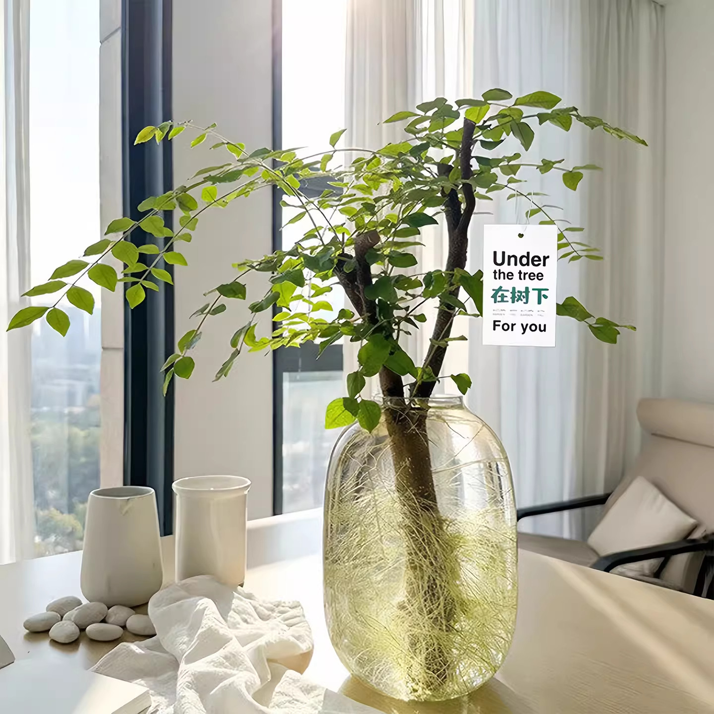 网红小叶女贞鲜切枝水培绿植好养耐养云南基地直发云山花卉优选,鲜花速递/花卉仿真/绿植园艺,红掌/凤梨/温室花卉,淘宝优惠券,粉丝福利购,淘宝优惠卷