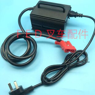 比亚迪西林如意锂电池叉车48V6A充电机SSLC330V55充电器DZL480602