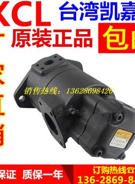 台湾KCL凯嘉VQ315-60/66/76-6/8/11/14/17-F-RAAA-02叶片泵