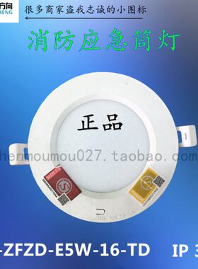 ZS-ZLZD-E5W-16-TD应急筒灯3寸4寸56寸90minIP303.2V天花灯吸顶灯