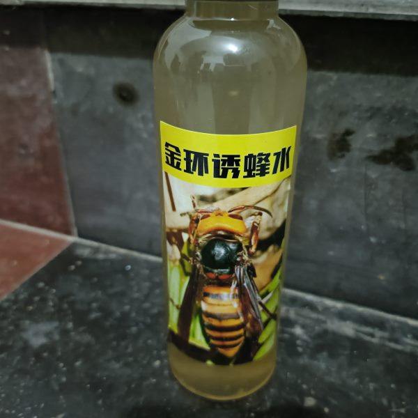2024野外加强型黑尾胡蜂专用诱蜂水  招蜂水  虎头蜂  金环引蜂水