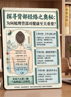 背部经络养生科普 美容院店内宣传桌面摆件助力拓客