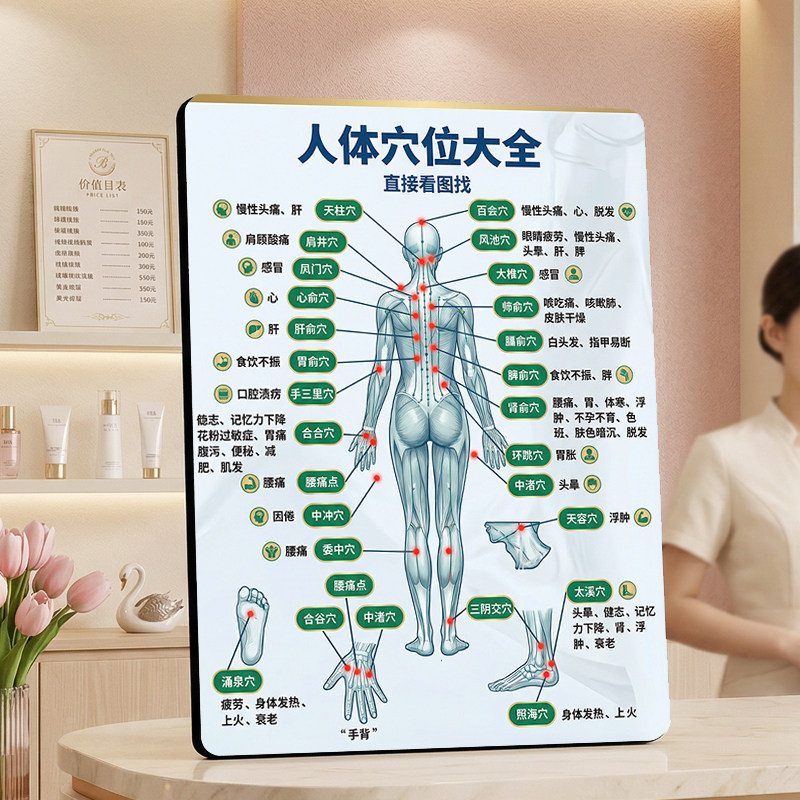 人体穴位大全装饰摆件中医养生馆家用直观找穴位立牌摆台