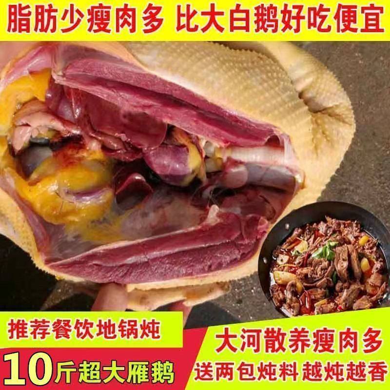 活杀大雁鹅新鲜农家散养整只10斤超大东北非笨鹅大鹅鹅肉冷冻批发,水产肉类/新鲜蔬果/熟食,鹅肉/鹅肉制品,淘宝优惠券,粉丝福利购,淘宝优惠卷