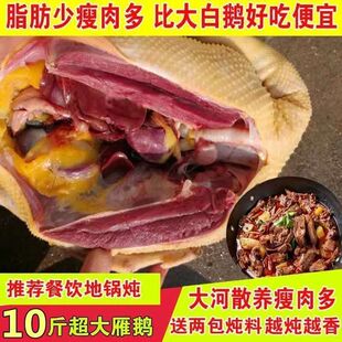 活杀大雁鹅新鲜农家散养整只10斤超大东北非笨鹅大鹅鹅肉冷冻批发