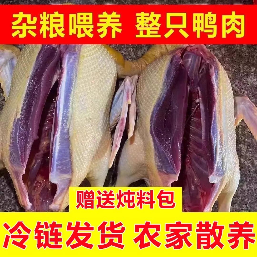 【真巨香鸭肉】农家散养非老鸭新鲜现杀耐炖整只土鸭冷冻雁鸭不柴,水产肉类/新鲜蔬果/熟食,鸭肉/鸭肉制品,淘宝优惠券,粉丝福利购,淘宝优惠卷