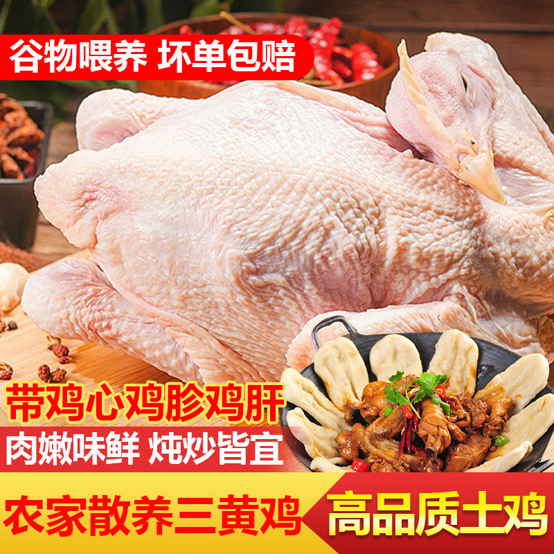 正宗三黄鸡农家散养土鸡新鲜现杀整鸡冷冻生鲜商用批发整鸡2.5斤,水产肉类/新鲜蔬果/熟食,整鸡/整鸡制品,淘宝优惠券,粉丝福利购,淘宝优惠卷
