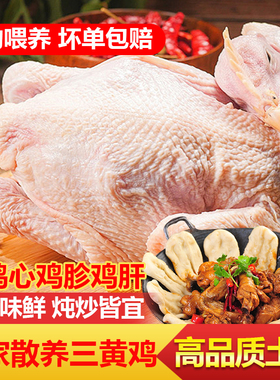 正宗三黄鸡农家散养土鸡新鲜现杀整鸡冷冻生鲜商用批发整鸡2.5斤
