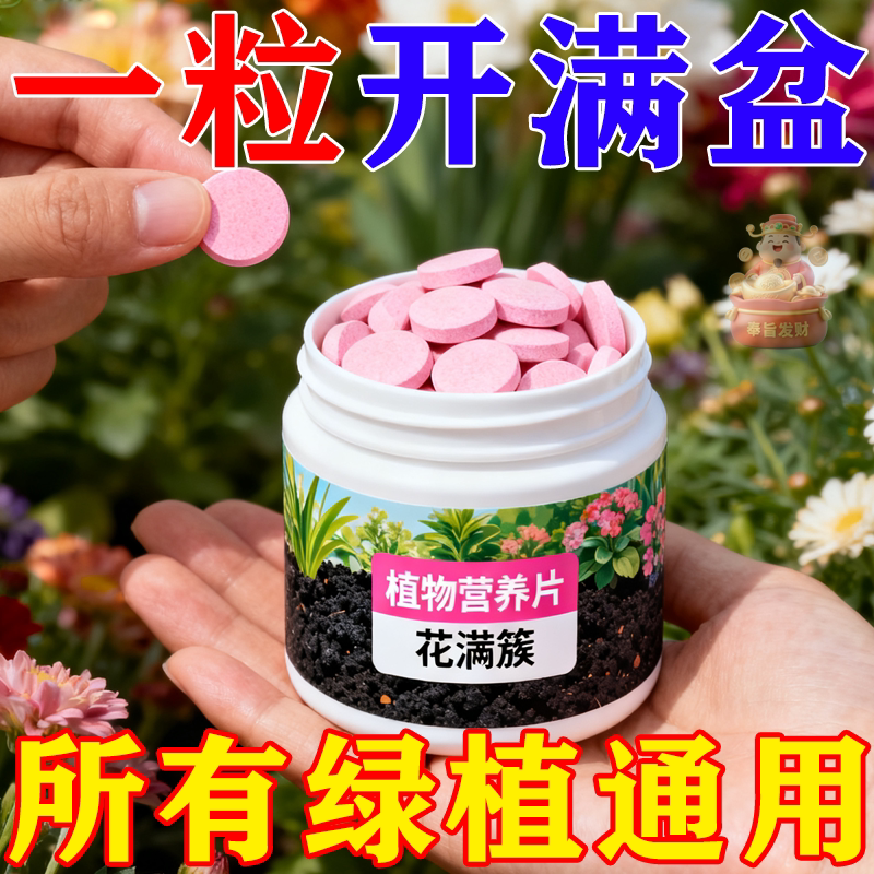 植物缓释营养片绿植肥料