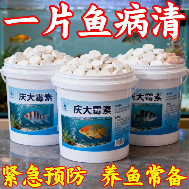 庆大霉素鱼病专用药杀菌消炎