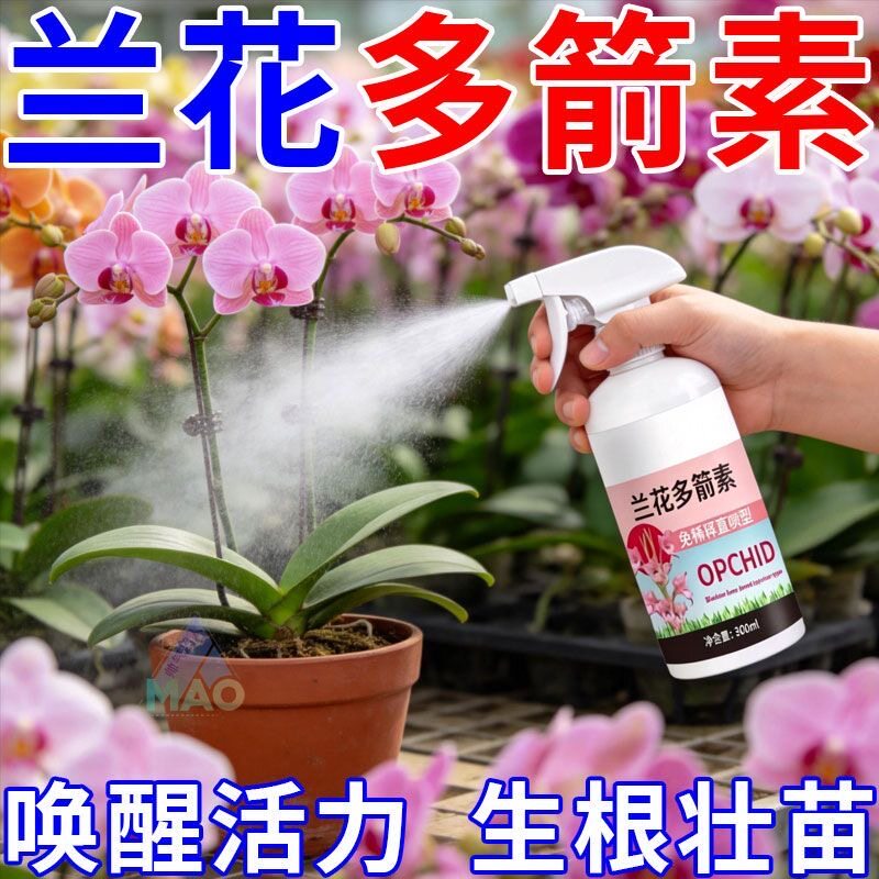 兰花多箭素营养液催花防黄叶兰花专用开花促花生根壮苗爆芽多箭素