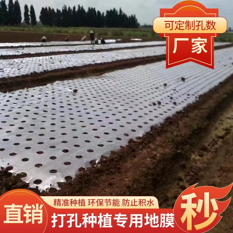 【打孔白a地膜】农用保温保湿透明塑料薄膜保墒花生蔬菜带孔圆孔