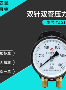 上海笠聚 双针双管压力表YZS102 1000KPA 船用铁路专用双针压力表