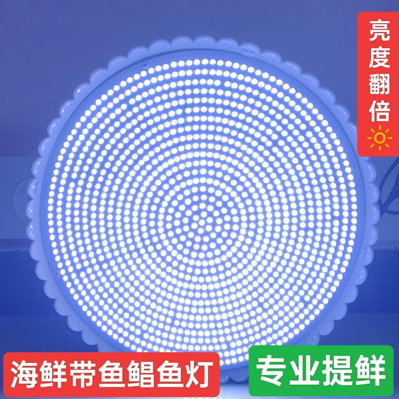 25新款LED生鲜海鲜带鱼灯鲳鱼黄花鲑鱼灯冰台鱼缸全白光偏蓝