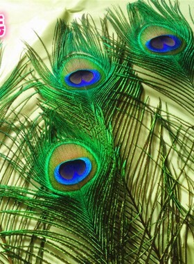 天然新款招财孔雀翎尾 家居饰品真羽毛 孔雀毛花瓶装饰客厅摆件