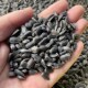 包邮 黑珍珠小瓜子 仓鼠零食鸟粮鸽粮 鹦鹉鸟食 50斤 油葵籽