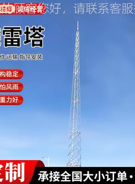 避雷48328针避雷雷塔钢结独构避雷线塔 建筑管管角钢高层建筑避钢
