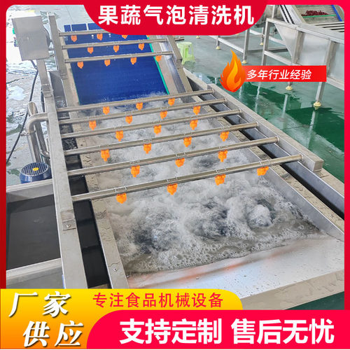 商用叶菜类清洗机流水线香椿芽气泡清洗机酱腌菜清洗去盐设备