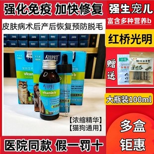 强生宠儿维生素B营养液宠物猫咪狗狗伤口术后快速恢复愈合100ml