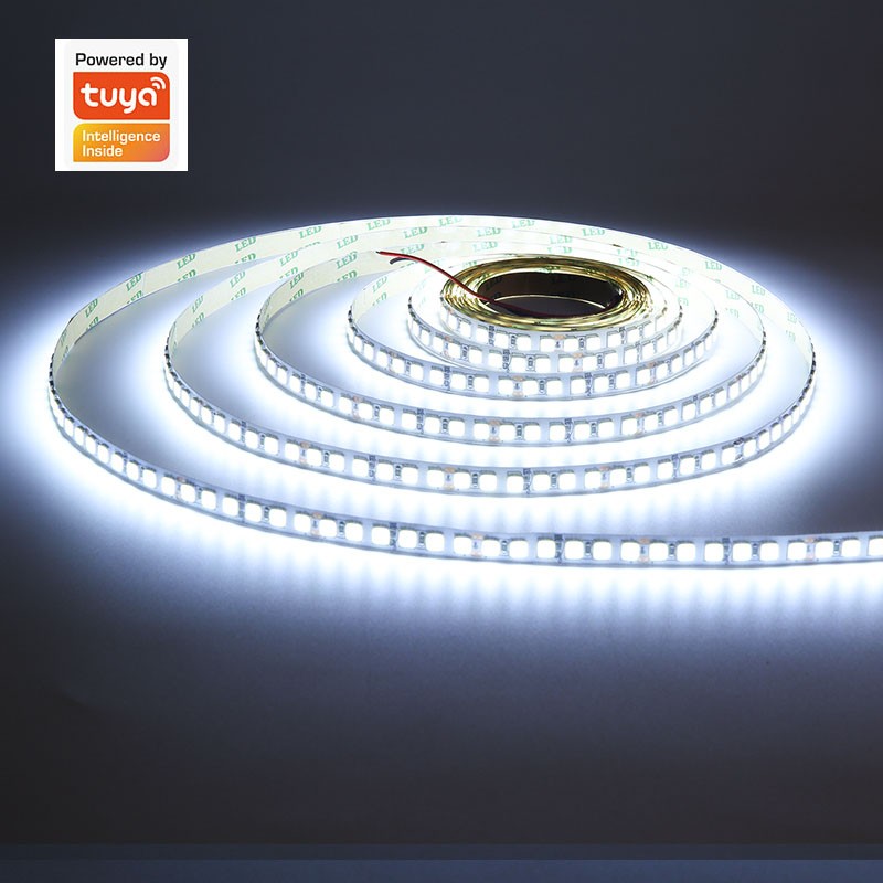 涂鸦智能数字调光套装 双s色温灯带RGBCW变光调光柔性吊顶线性灯