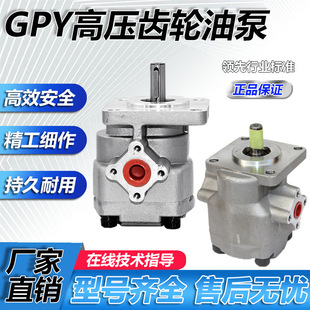 11.5R低噪音液压齿轮泵油泵 高压齿轮油泵GPY 10R