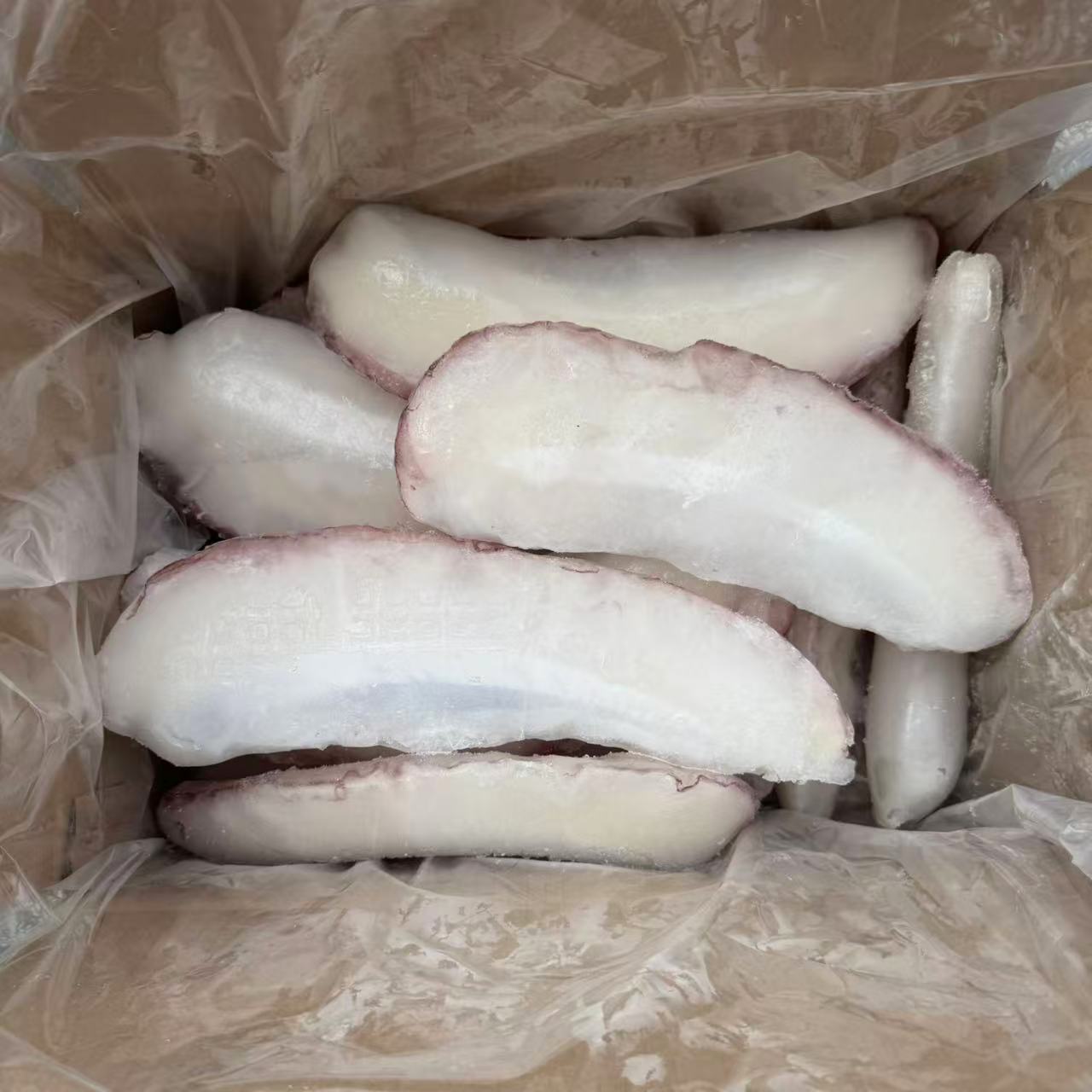 墨鱼边带冰20斤生冻肉厚墨鱼边