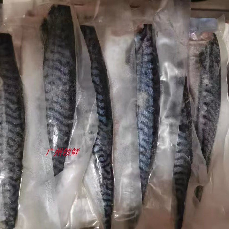 挪威鲭鱼片 160-180g30片10斤/件 独立包装青花鱼片 商用食材
