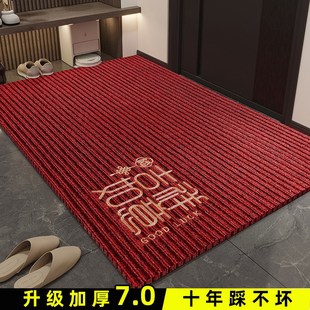 门口防滑家用玄关高级感耐脏防滑加厚可擦 入户门地垫进门2025新款