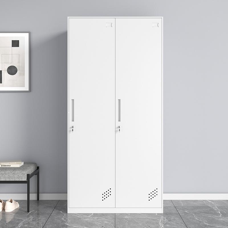 钢制员工宿舍铁皮储物柜二门健身房更衣柜带锁浴室换衣柜寄存柜子