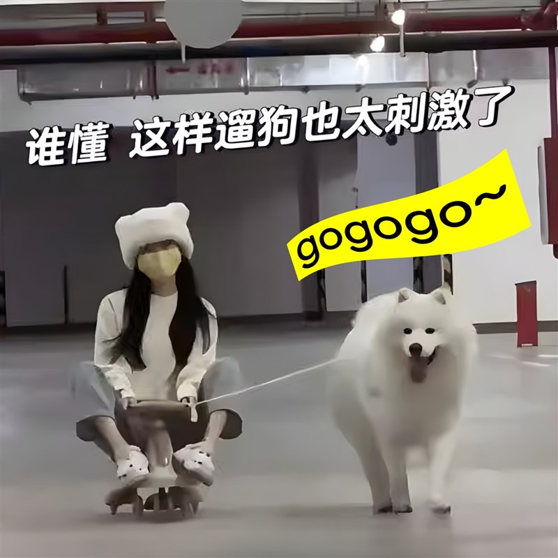 狗狗遛狗的c扭扭车防侧翻边牧大型犬外出拉人遛娃溜溜车万向轮