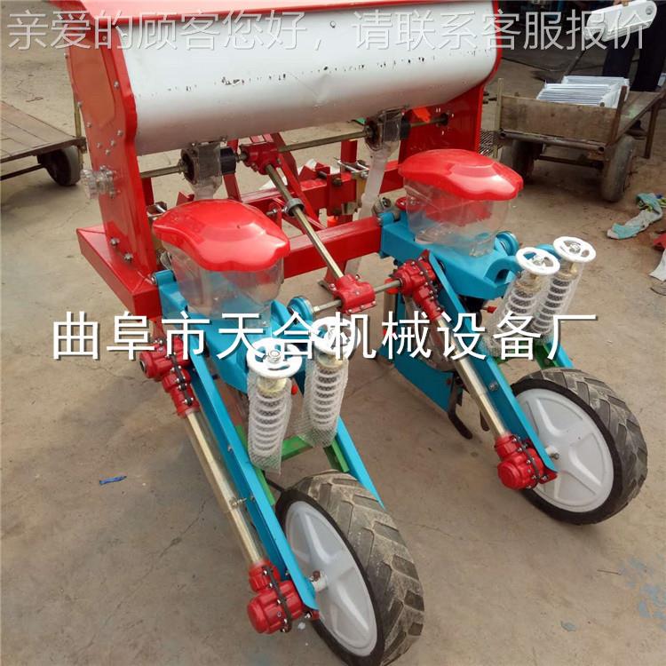 带悬浮式米播种机 玉功能播种机厂多直销精品推TH-BZ FM家荐四轮