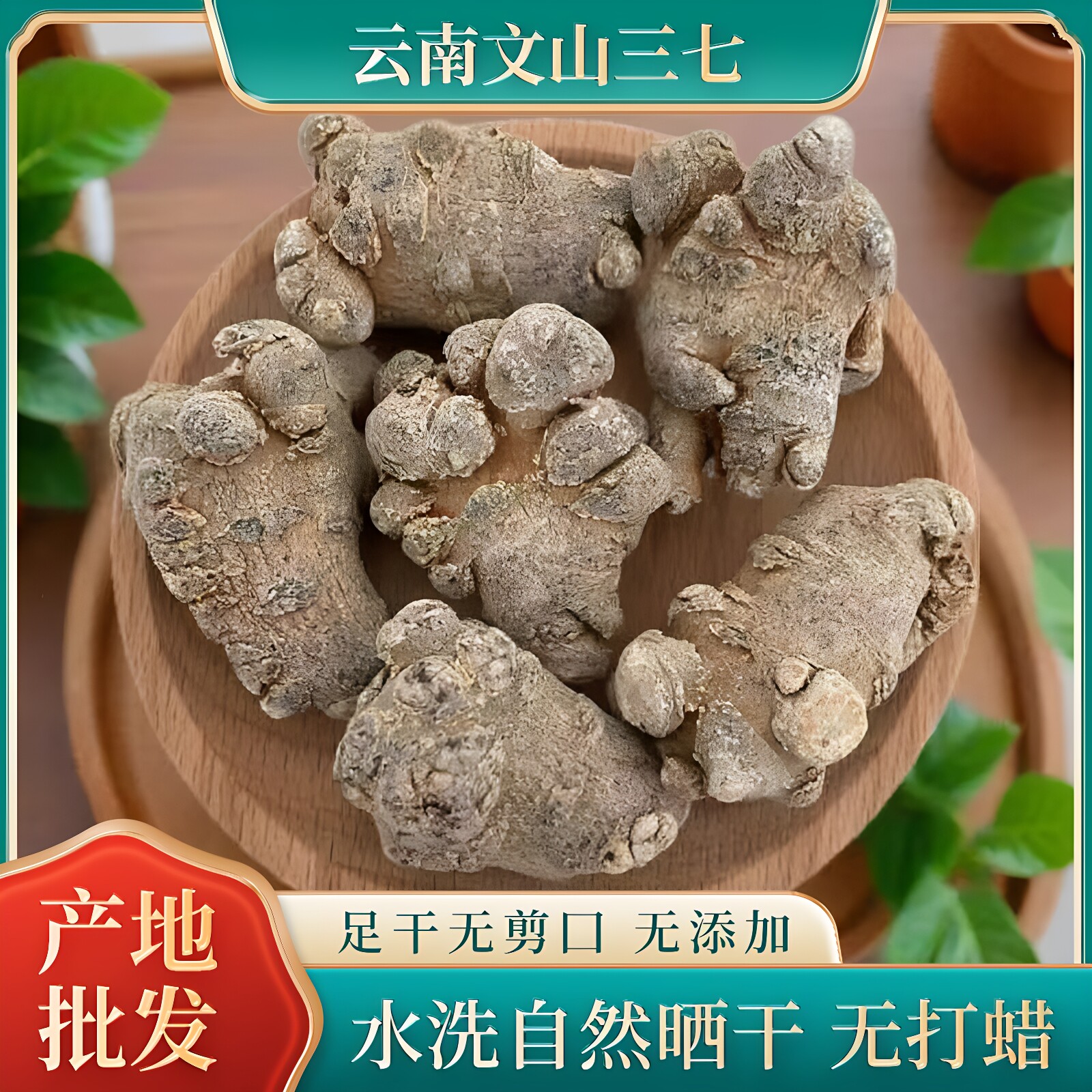 正宗云南文山春三七田七三七粉