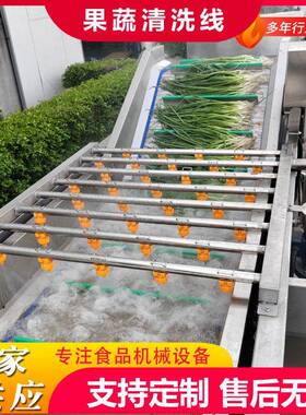 商用果蔬气泡清洗机鲜花生去泥沙气泡清洗机小葱去泥清洗风干线