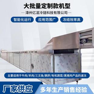 机型WD J200系列速冻锁鲜设备 低温鲜冻机定制款 浸液式