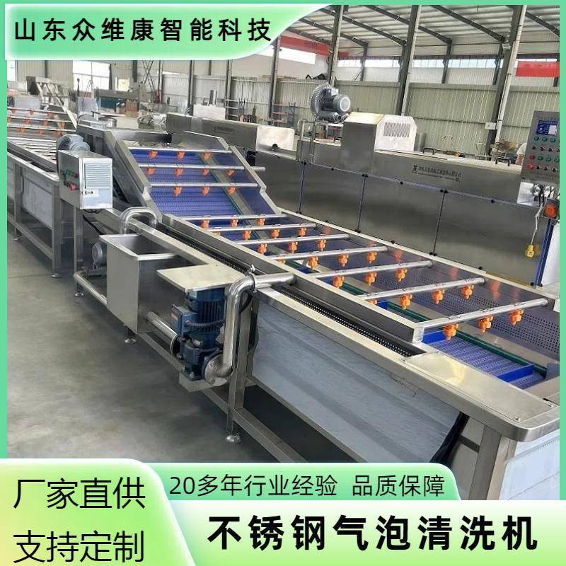不锈钢蔬菜清洗机中药材气泡喷淋清洗设备大型果蔬清洗机器
