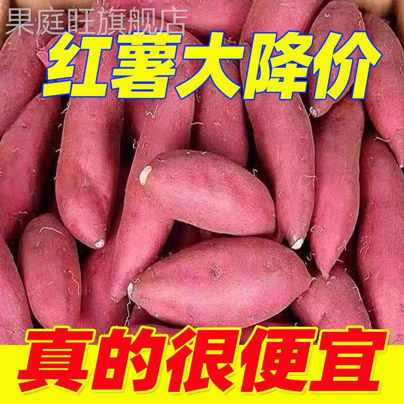 【5斤]特价现挖新鲜沙地红薯黄心板粟烤地瓜番薯农家自种蜜薯整箱