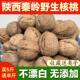 陕西核桃2024新货秦岭厚皮农家特产原味山核桃大果袋装 零食