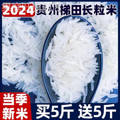 正宗贵州梯田长粒香米官方旗舰店五10斤装常象牙新高山大米猫牙米