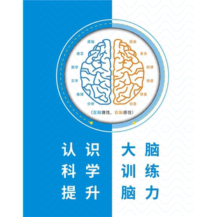 儿童感统训练全脑开发教育培训机构装饰挂画感觉统合简介海报墙贴